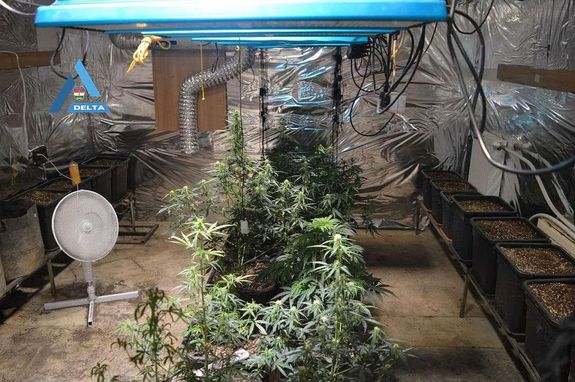 A DELTA elmúlt évének Békés vármegyei képeiből. Képek forrása: Békés Vármegyei Rendőr-főkapitányság A DELTA elmúlt évének Békés vármegyei képeiből. Képek forrása: Békés Vármegyei Rendőr-főkapitányság