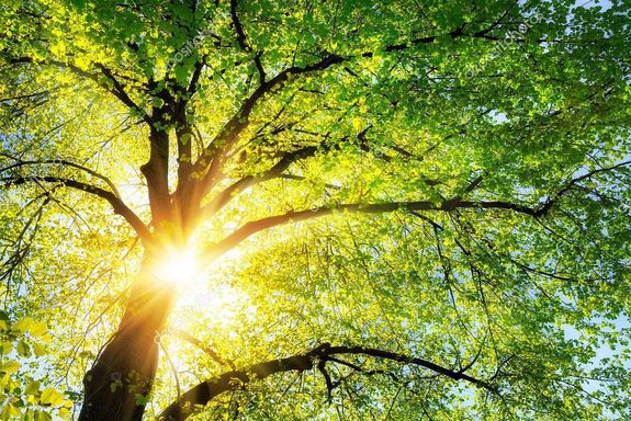 Kora nyárias idővel kezdődik május, 28 Celsius-fok is lehet. Majd szerdán, erős széllel lehűlés érkezik, és többfelé alakulhat ki zápor, zivatar. Péntektől, ismét melegedés kezdődik. A kép illusztráció. Kép: DepositPhotos Kora nyárias idővel kezdődik május, 28 Celsius-fok is lehet. Majd szerdán, erős széllel lehűlés érkezik, és többfelé alakulhat ki zápor, zivatar. Péntektől, ismét melegedés kezdődik. A kép illusztráció. Kép: DepositPhotos