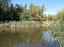 A keleti országrészben, a Tisza, a Bodrog és a Körösök mentén, a holtágak szegélyén, légi biológiai gyérítés indokolt, az időjárás függvényében lehet majd fellépni a lárvák ellen. A képen holtág. Kép: Wikimedia Commons A keleti országrészben, a Tisza, a Bodrog és a Körösök mentén, a holtágak szegélyén, légi biológiai gyérítés indokolt, az időjárás függvényében lehet majd fellépni a lárvák ellen. A képen holtág. Kép: Wikimedia Commons