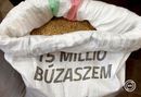 Péter-Pál napján, az aratás hagyományos kezdetén, megnyitották a Magyarok kenyere - 15 millió búzaszem című program vármegyei gyűjtőpontjait. Kép: MTI / Vajda János Péter-Pál napján, az aratás hagyományos kezdetén, megnyitották a Magyarok kenyere - 15 millió búzaszem című program vármegyei gyűjtőpontjait. Kép: MTI / Vajda János