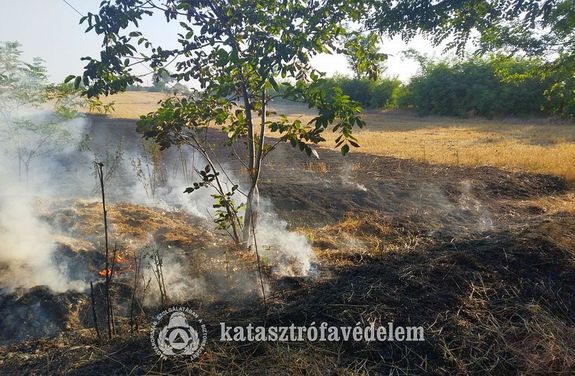 Gabonatarló égett százötven négyzetméteren, Orosháza külterületén. Kép forrása: Békés Vármegyei Katasztrófavédelmi Igazgatóság Gabonatarló égett százötven négyzetméteren, Orosháza külterületén. Kép forrása: Békés Vármegyei Katasztrófavédelmi Igazgatóság