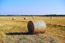 Egész héten napos, meleg idő várható, a hét közepén kisebb enyhüléssel. Kép: Pixabay Egész héten napos, meleg idő várható, a hét közepén kisebb enyhüléssel. Kép: Pixabay