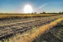 A nagyrészt felhőtlen időben, a legmelegebb órákban, ismét 30 Celsius-fok felett alakul a hőmérséklet, miközben csapadék továbbra sem várható. A kép illusztráció. Kép: Pixabay A nagyrészt felhőtlen időben, a legmelegebb órákban, ismét 30 Celsius-fok felett alakul a hőmérséklet, miközben csapadék továbbra sem várható. A kép illusztráció. Kép: Pixabay