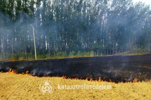 Tarló égett tegnap, délután, Újiráz és Kótpuszta között. Kép forrása: Békés Vármegyei Katasztrófavédelmi Igazgatóság Tarló égett tegnap, délután, Újiráz és Kótpuszta között. Kép forrása: Békés Vármegyei Katasztrófavédelmi Igazgatóság