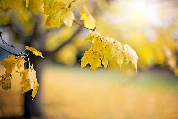 A hőmérséklet 21-25 Celsius-fok között alakul a legmelegebb órákban, de a reggelek csípősek lesznek. A kép illusztráció. Kép: Pixabay A hőmérséklet 21-25 Celsius-fok között alakul a legmelegebb órákban, de a reggelek csípősek lesznek. A kép illusztráció. Kép: Pixabay