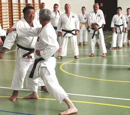 Sensei Sfr Lszl: Ne azrt edzenek, hogy verekedni tudjanak, mert azzal  elvesztik a karate f cljt. A karate megvltoztatja az letedet, jobban tudsz kzdeni, jobb ember leszel. Kp forrsa: Szerz