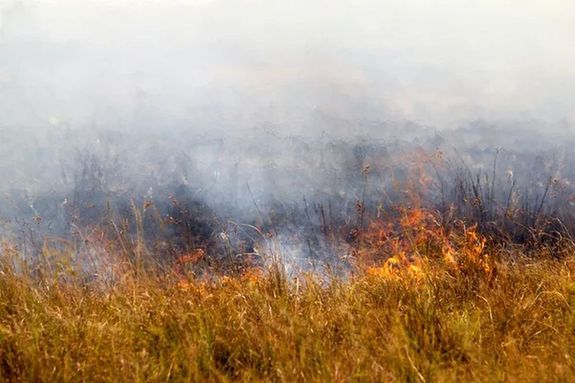 Szombaton, este, Gyomaendrdn, a Bacsalaposi t kzelben, a helysznen lv szemly az tven ngyzetmteren g tz oltst lapttal megkezdte, a tovbbterjedst megakadlyozta. A kp illusztrci. Kp: Depositphotos   