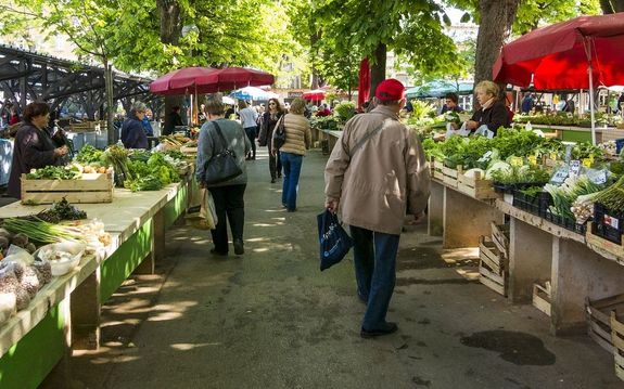 A mezgazdasgi stermelk s az stermelk csaldi gazdasgnak adatait, az stermeli nyilvntartst, az lelmiszerlnc-felgyeleti informcis rendszerben, a FELIR-ben kell nyilvntartani. A kp illusztrci. Kp: Pixabay   