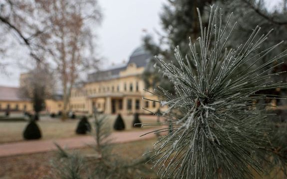 Az Almsy-kastly Stefnia-szrnyban, Prgai Adrienn, a Szpmvszeti Mzeum – Magyar Nemzeti Galria mvszettrtnsze tart eladst a biedermeierrl janur 21-n, kedden, 17 rakor. Kp forrsa: Gyulai Almsy-kastly Ltogatkzpont Facebook-oldala